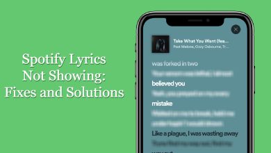 Spotify Lyrics Not Showing