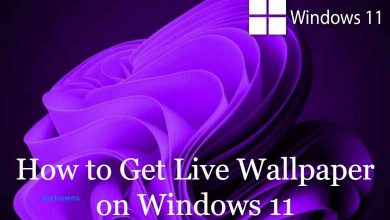 How to Get Live Wallpapers on Windows 11