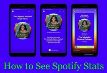 How to See Spotify Stats