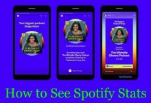 How to See Spotify Stats