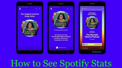 How to See Spotify Stats