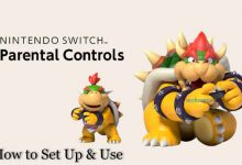 Nintendo Switch Parental Control App
