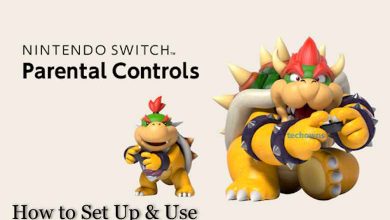 Nintendo Switch Parental Control App