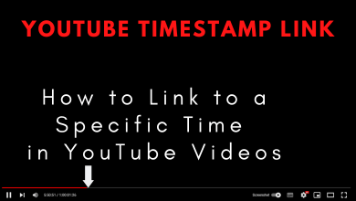 YouTube Timestamp Link