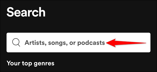 Spotify Search bar