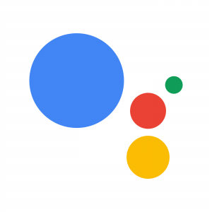 Google Voice Assistant