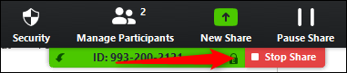 Stop Share Screen on Zoom 