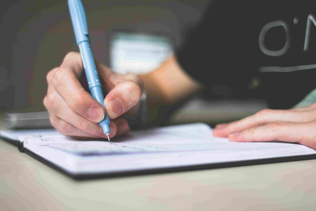 essay writing software