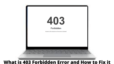 403 Forbidden Error