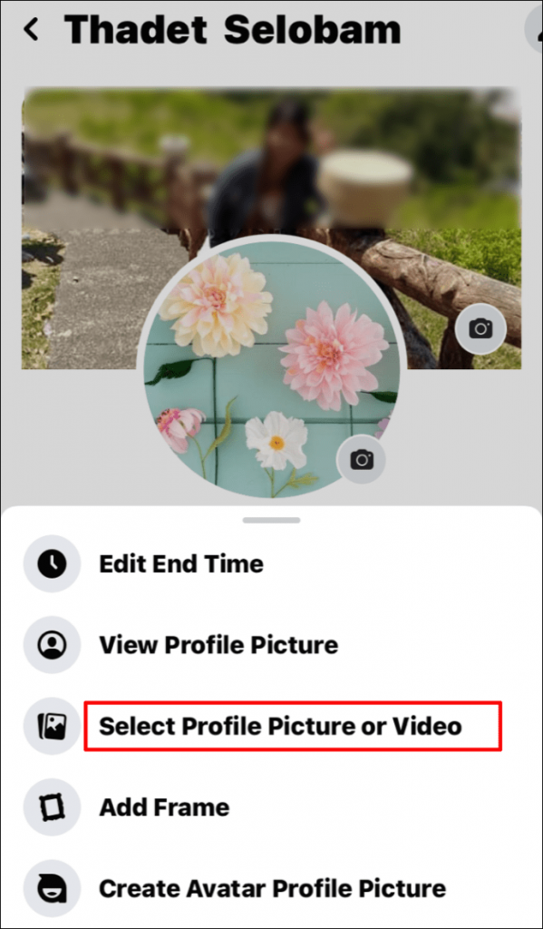 Select Profile Picture or Video