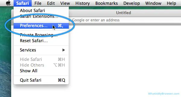 Safari dropdown with Preferences highlighted.