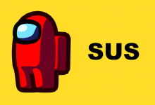 what does SUS mean