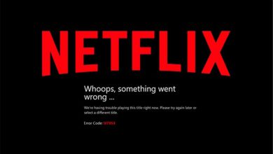 Netflix not Working