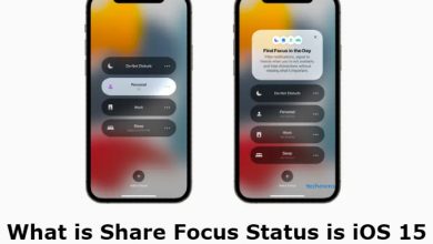 Share Focus Status