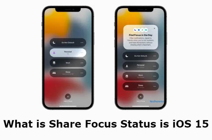 Share Focus Status
