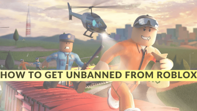 How to Get Unbanned from Roblox