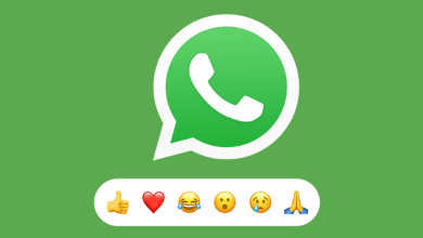 How to Send Message Reactions on WhatsApp