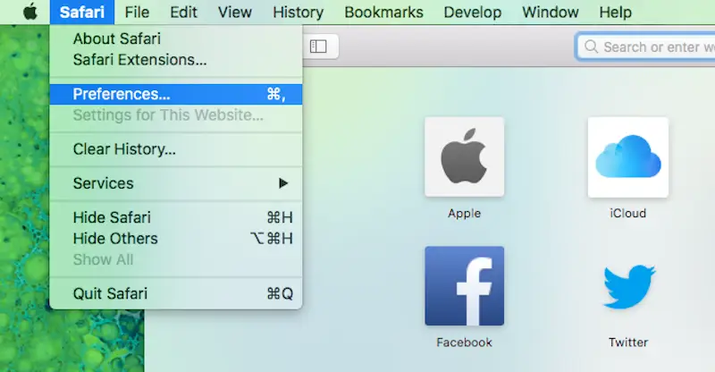 Preferences tab on Safari