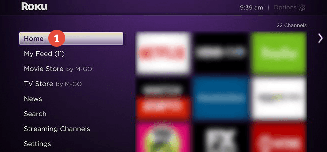 Roku home screen