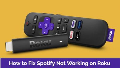 Spotify Not Working on Roku