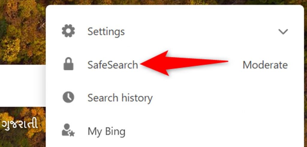 Select the SafeSearch option