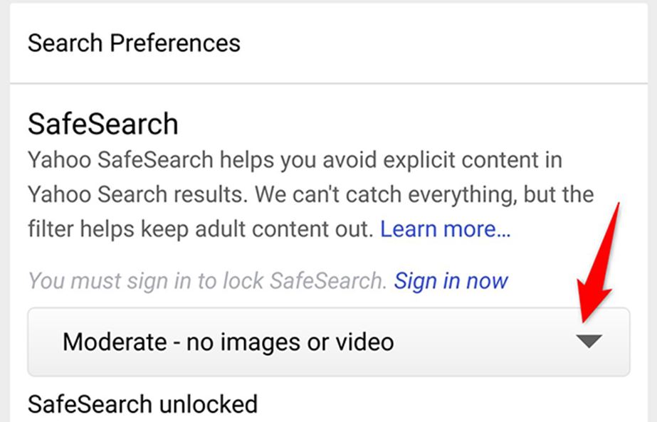 Search Preferences box