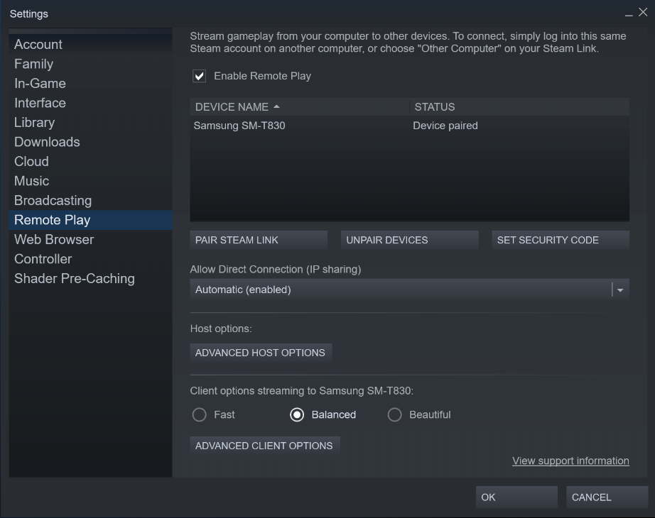 Steam Remote Play