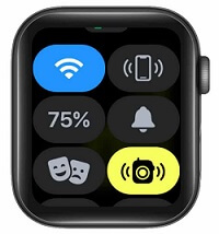 Ping iPhone from Apple Watch