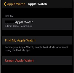 Enable Find My Apple Watch 