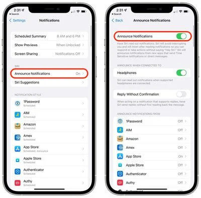 Notification option on iPhone - How to Stop AirPods from Reading Texts