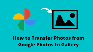How to Transfer Photos from Google Photos to Gallery