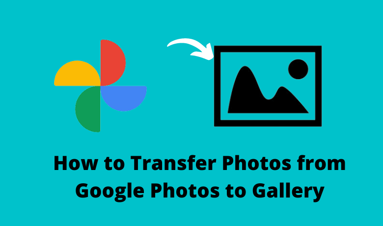 How to Transfer Photos from Google Photos to Gallery - TechOwns