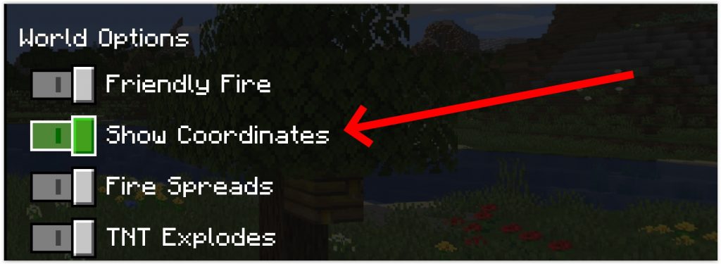 Show coordinates - How to Turn on Coordinates in Minecraft