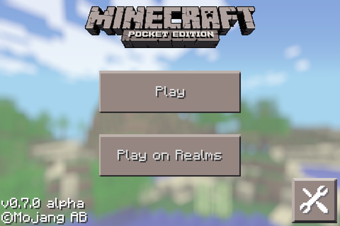 Play option on Minecraft