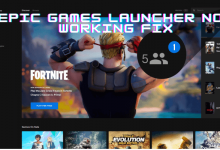 Epic Games Launcher not Working