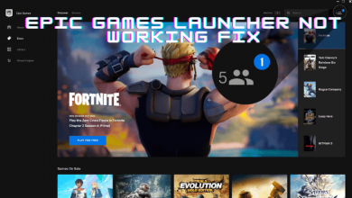 Epic Games Launcher not Working