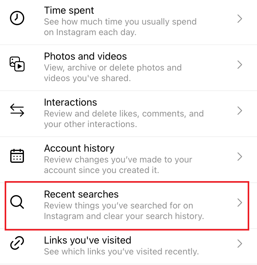 Recent Searches on Instagram