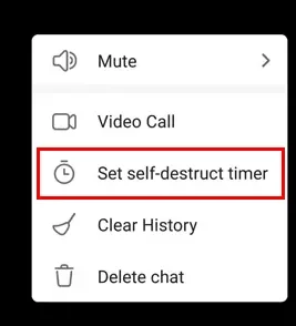 Tap on Set self destruct timer option on Telegram