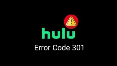 Hulu Error Code 301