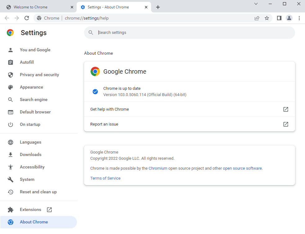 Update chrome when PDF is not opening.