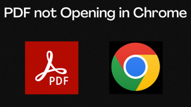 PDF not Opening in Chrome