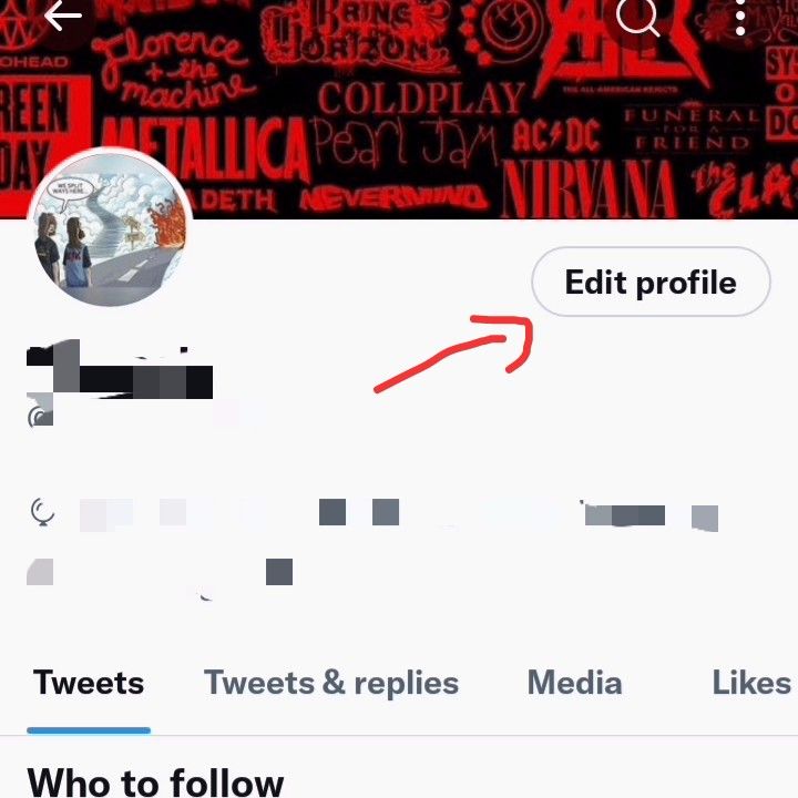 Twitter Profile Settings on mobile