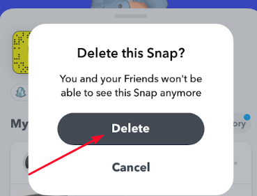 Click Delete option  to delete your Snap Story