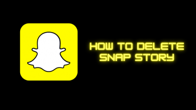 How to Delete Snap Story