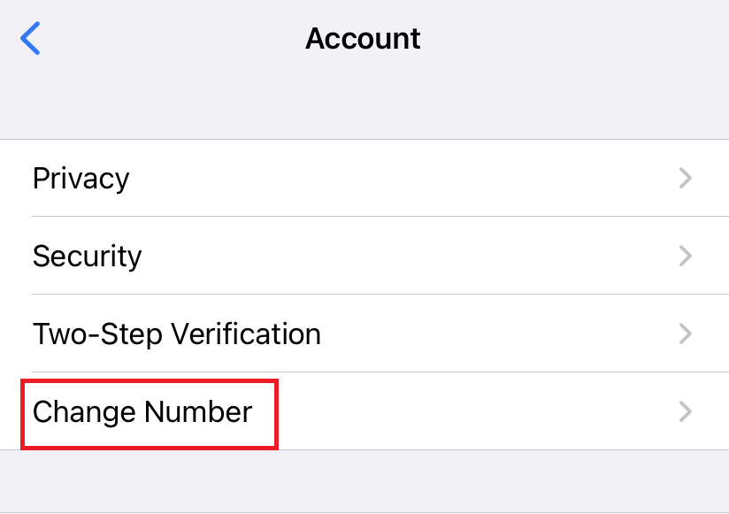 How to Find My WhatsApp Number