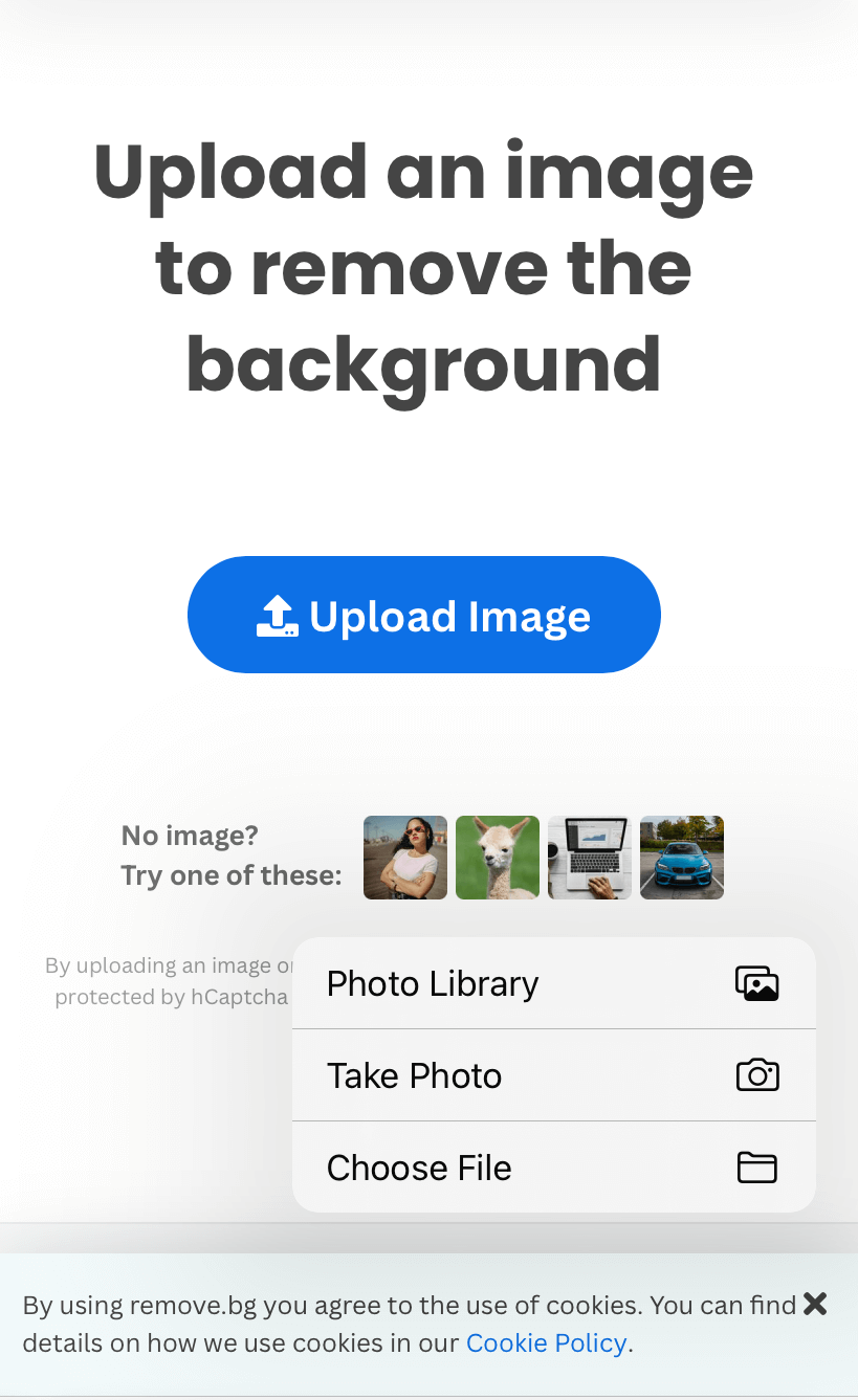 How to Remove Background from Photos on iPhone [iOS 16] - TechOwns