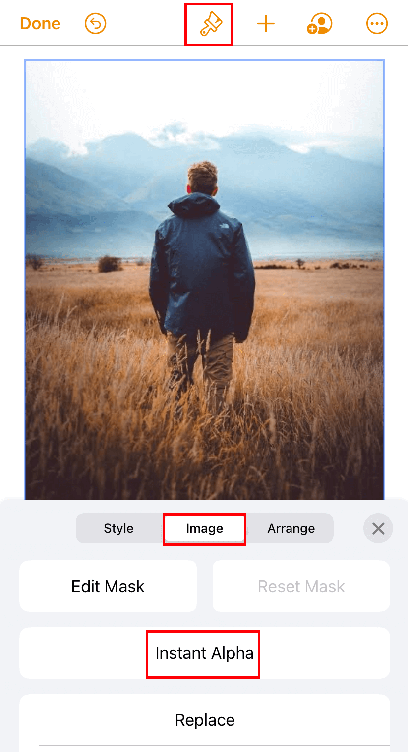 How to Remove Background from Photos on iPhone