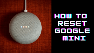 How to Reset Google Mini