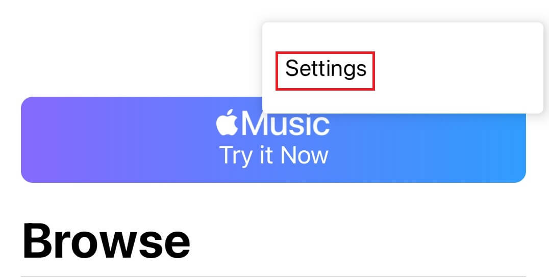 Apple Music Settings