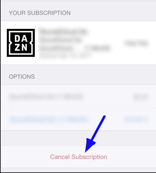 Click on Cancel Subscription